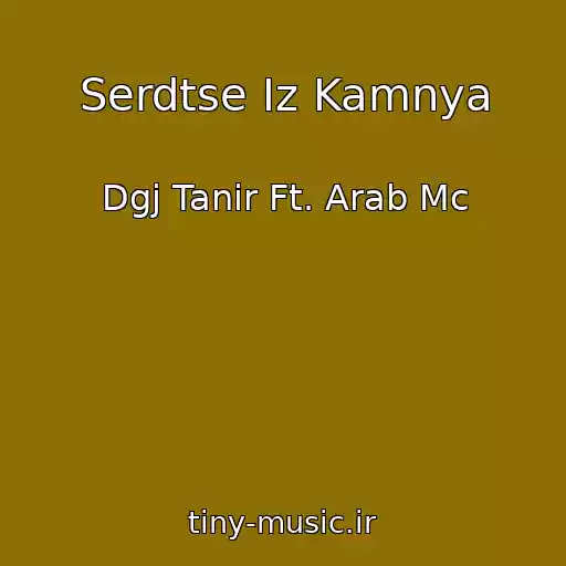 کاور آهنگ Serdtse Iz Kamnya از Dgj Tanir Ft. Arab Mc