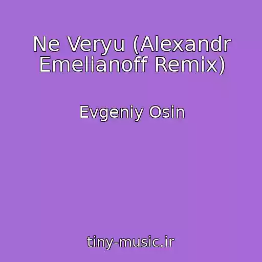 کاور آهنگ Ne Veryu (Alexandr Emelianoff Remix) از Evgeniy Osin