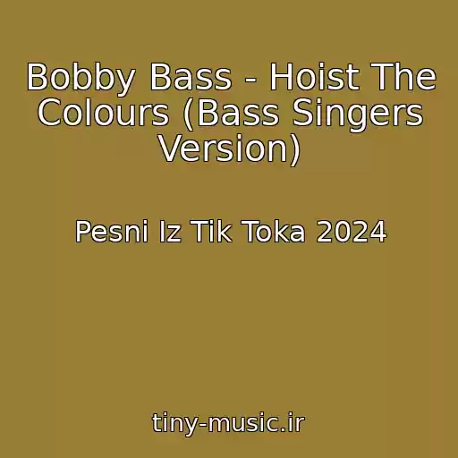 کاور آهنگ Bobby Bass - Hoist The Colours (Bass Singers Version) از Pesni Iz Tik Toka 2024