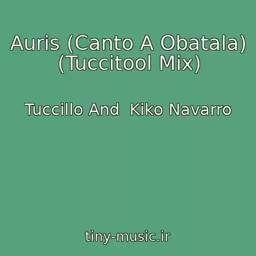 کاور آهنگ Auris (Canto A Obatala) (Tuccitool Mix) از Tuccillo And  Kiko Navarro