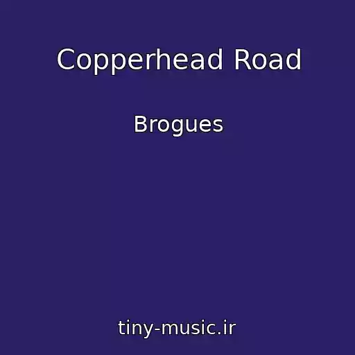 کاور آهنگ Copperhead Road از Brogues