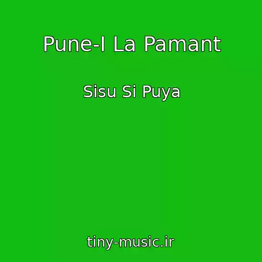 کاور آهنگ Pune-I La Pamant از Sisu Si Puya