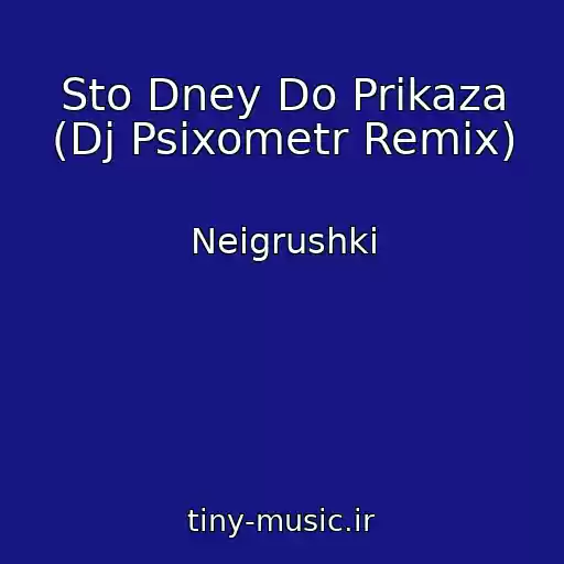 کاور آهنگ Sto Dney Do Prikaza (Dj Psixometr Remix) از Neigrushki