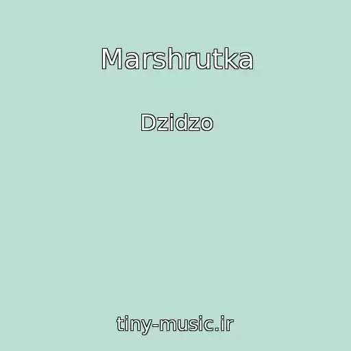 کاور آهنگ Marshrutka از Dzidzo