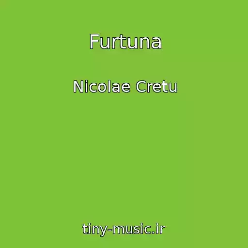 کاور آهنگ Furtuna از Nicolae Cretu