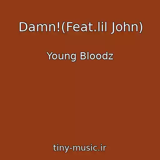 کاور آهنگ Damn!(Feat.lil John) از Young Bloodz