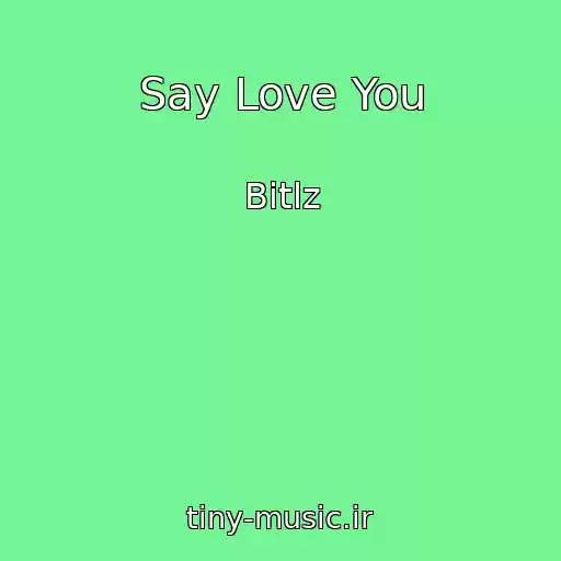 کاور آهنگ Say Love You از Bitlz