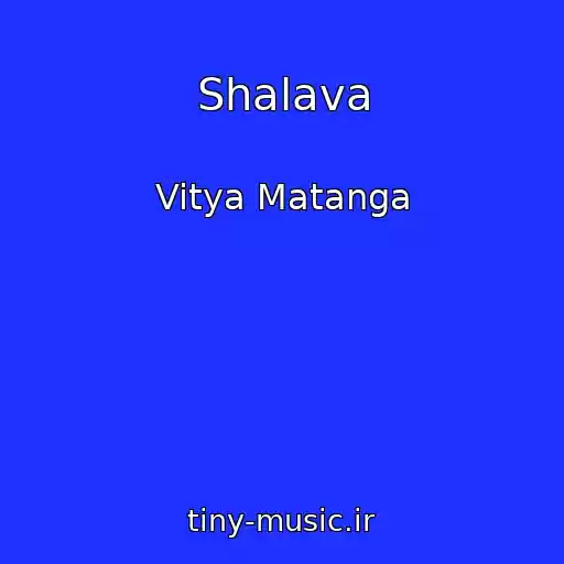 کاور آهنگ Shalava از Vitya Matanga