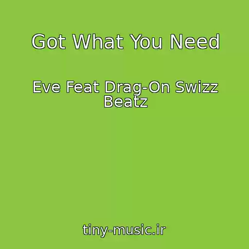 کاور آهنگ Got What You Need از Eve Feat Drag-On Swizz Beatz