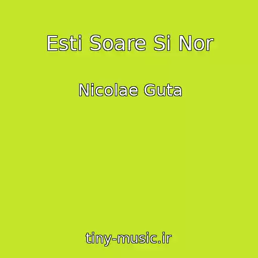 کاور آهنگ Esti Soare Si Nor از Nicolae Guta