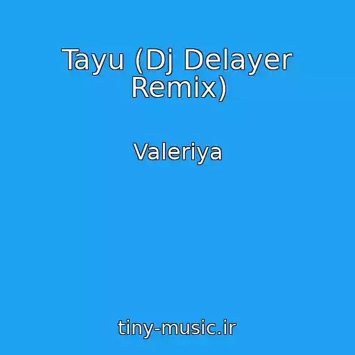 کاور آهنگ Tayu (Dj Delayer Remix) از Valeriya