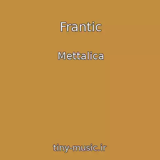 کاور آهنگ Frantic از Mettalica