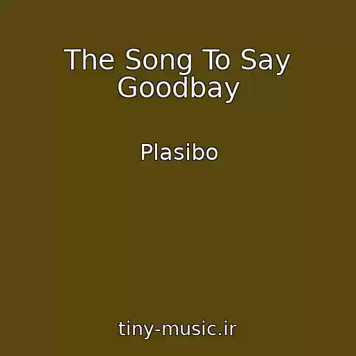 کاور آهنگ The Song To Say Goodbay از Plasibo