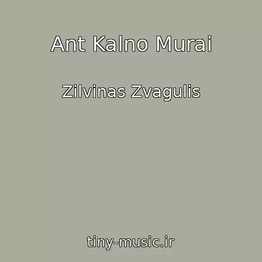 کاور آهنگ Ant Kalno Murai از Zilvinas Zvagulis