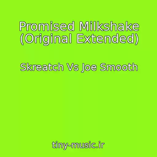 کاور آهنگ Promised Milkshake (Original Extended) از Skreatch Vs Joe Smooth