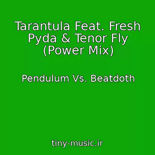 کاور آهنگ Tarantula Feat. Fresh Pyda & Tenor Fly (Power Mix) از Pendulum Vs. Beatdoth
