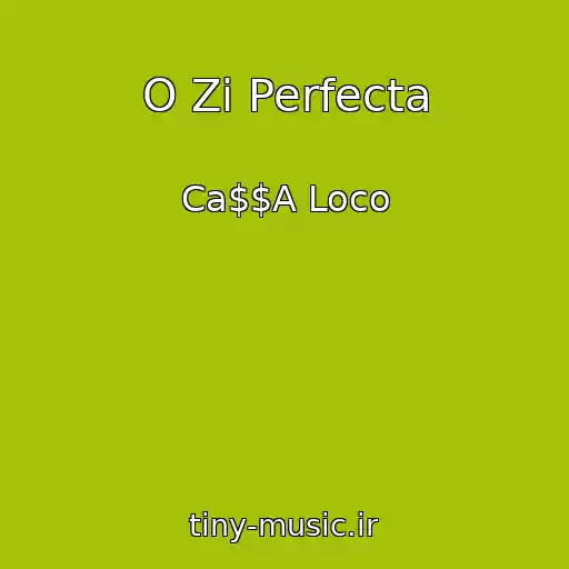 کاور آهنگ O Zi Perfecta از Ca$$A Loco