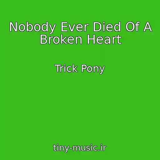 کاور آهنگ Nobody Ever Died Of A Broken Heart از Trick Pony