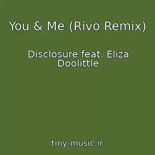 کاور آهنگ You & Me (Rivo Remix) از Disclosure feat. Eliza Doolittle