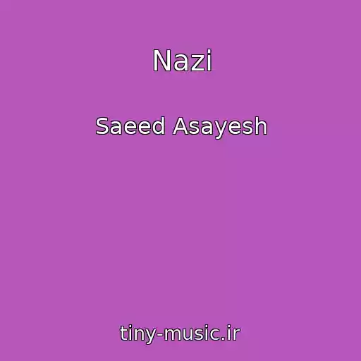 کاور آهنگ Nazi از Saeed Asayesh