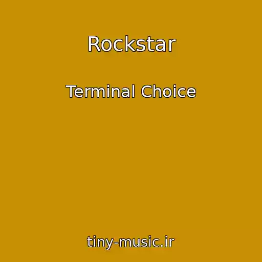 کاور آهنگ Rockstar از Terminal Choice