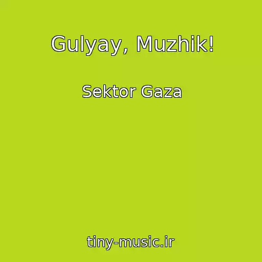 کاور آهنگ Gulyay, Muzhik! از Sektor Gaza