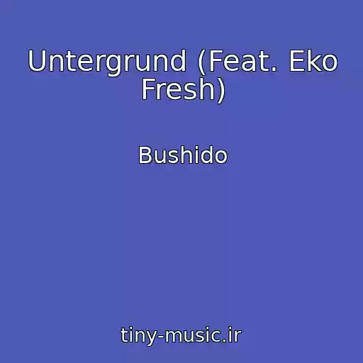 کاور آهنگ Untergrund (Feat. Eko Fresh) از Bushido