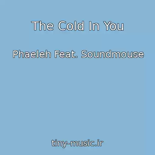 کاور آهنگ The Cold In You از Phaeleh Feat. Soundmouse