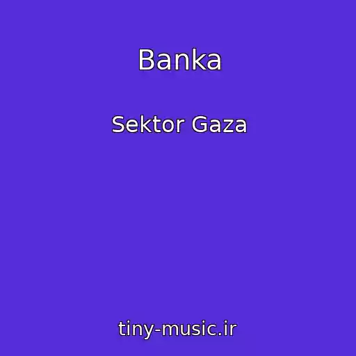 کاور آهنگ Banka از Sektor Gaza
