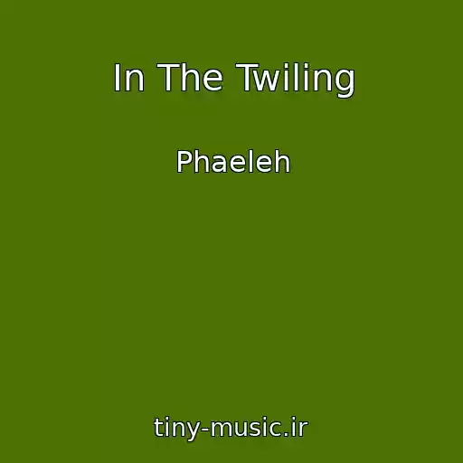 کاور آهنگ In The Twiling از Phaeleh