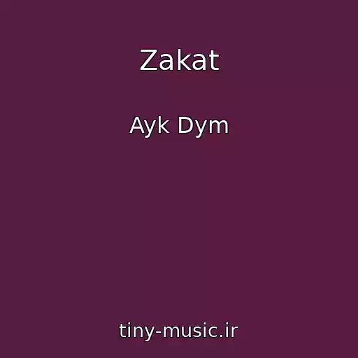 کاور آهنگ Zakat از Ayk Dym