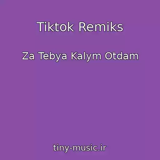 کاور آهنگ Tiktok Remiks از Za Tebya Kalym Otdam