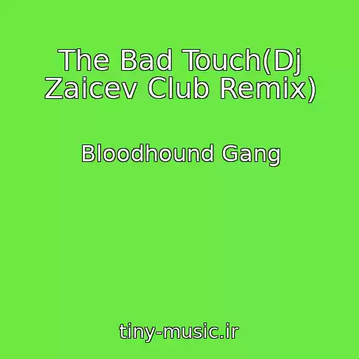 کاور آهنگ The Bad Touch(Dj Zaicev Club Remix) از Bloodhound Gang