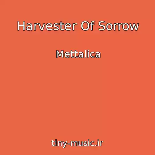 کاور آهنگ Harvester Of Sorrow از Mettalica