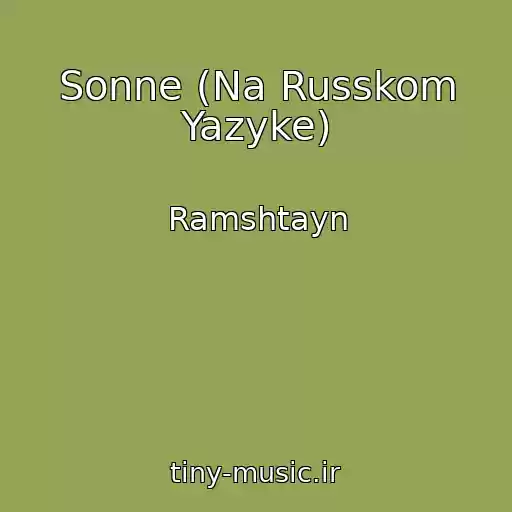 کاور آهنگ Sonne (Na Russkom Yazyke) از Ramshtayn