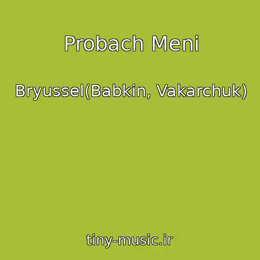 کاور آهنگ Probach Meni از Bryussel(Babkin, Vakarchuk)