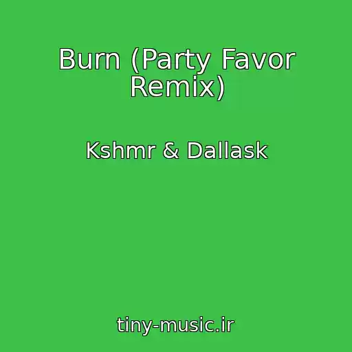 کاور آهنگ Burn (Party Favor Remix) از Kshmr & Dallask