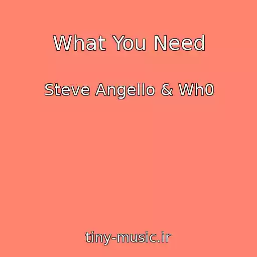 کاور آهنگ What You Need از Steve Angello & Wh0
