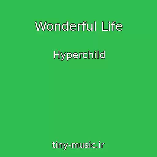 کاور آهنگ Wonderful Life از Hyperchild