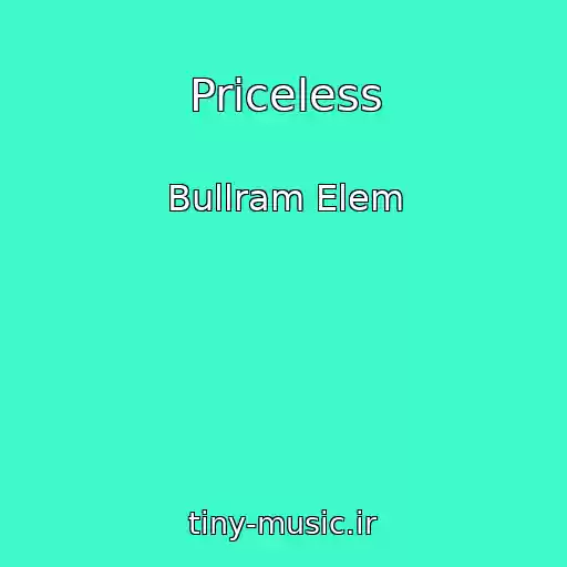 کاور آهنگ Priceless از Bullram Elem