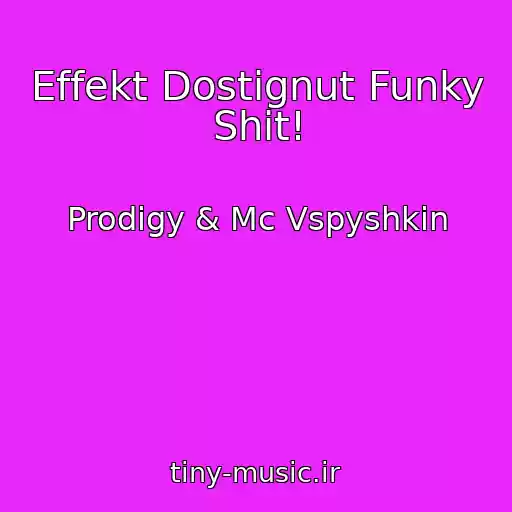 کاور آهنگ Effekt Dostignut Funky Shit! از Prodigy & Mc Vspyshkin