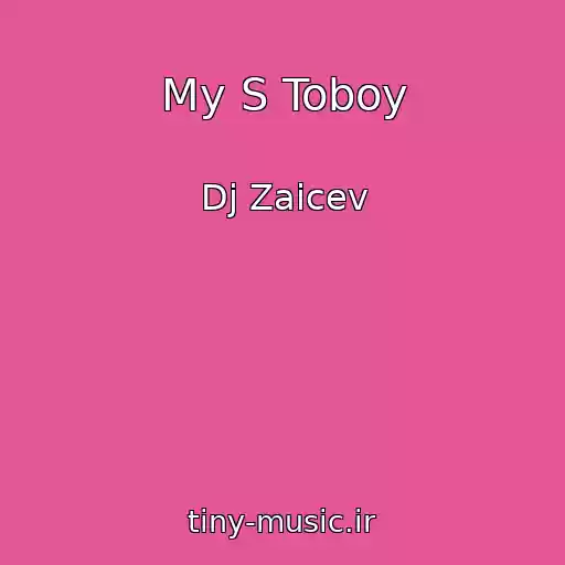 کاور آهنگ My S Toboy از Dj Zaicev