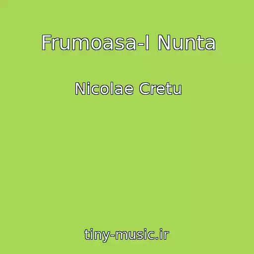 کاور آهنگ Frumoasa-I Nunta از Nicolae Cretu