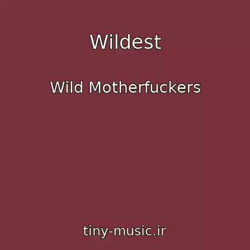 کاور آهنگ Wildest از Wild Motherfuckers