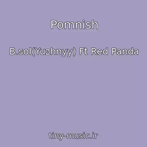 کاور آهنگ Pomnish از B.sol(Yuzhnyy) Ft Red Panda