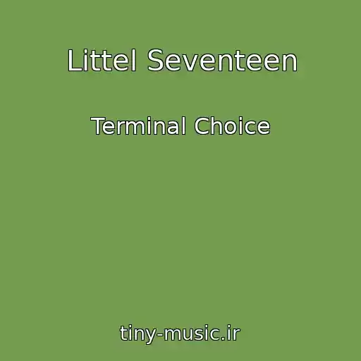 کاور آهنگ Littel Seventeen از Terminal Choice