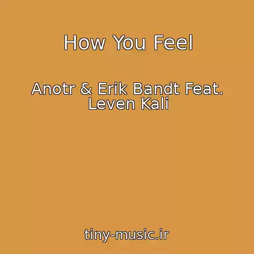کاور آهنگ How You Feel از Anotr & Erik Bandt Feat. Leven Kali