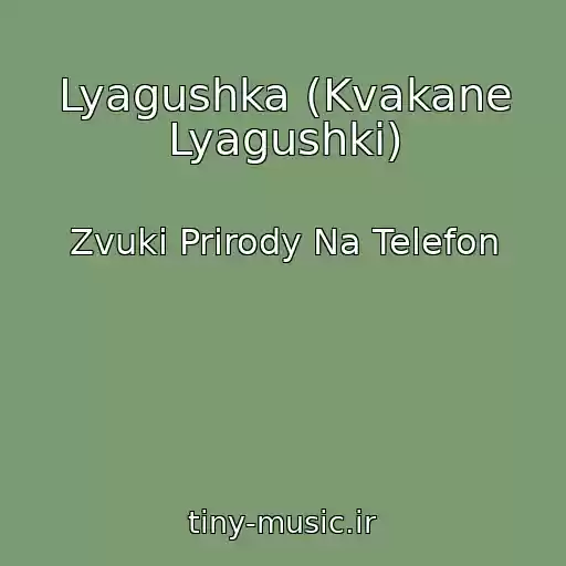 کاور آهنگ Lyagushka (Kvakane Lyagushki) از Zvuki Prirody Na Telefon
