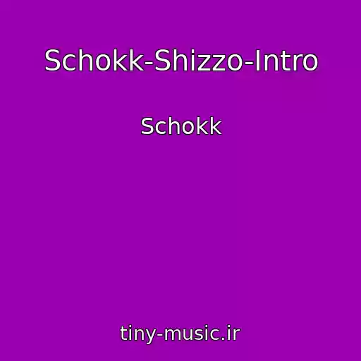 کاور آهنگ Schokk-Shizzo-Intro از Schokk
