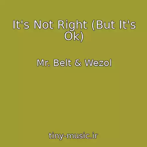 کاور آهنگ It's Not Right (But It's Ok) از Mr. Belt & Wezol